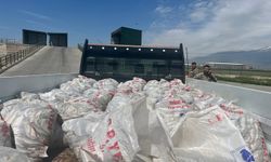 Kaçak yollar ile taşınan 2 ton inci kefali Ağrı'da ele geçirildi