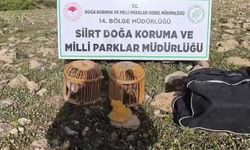 Kınalı keklik avlayan şahsa 63 bin lira ceza