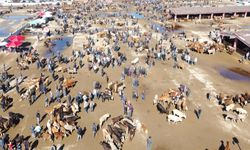 Kurban piyasası fiyat istikrarsızlığından sakin günler geçiriyor