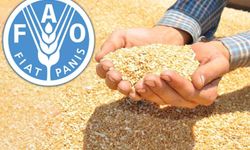 Küresel gıda fiyatları son 2 yılın en yüksek seviyesinde