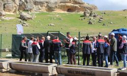 Mardin’de “Mera Islah Projeleri” sayesinde 85 bin hayvanın ihtiyacı karşılanacak