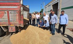 Mardin’de sezonun ilk buğday hasadı yapıldı