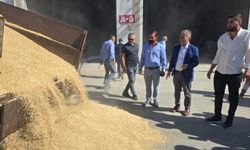 Mardin'de yılın ilk arpa hasadı yapıldı 