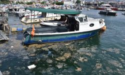 Marmara’da 272 bin 288 işletme ve deniz aracı denetlendi: 1,8 milyar TL ceza