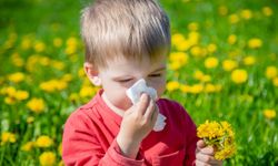 Mevsim geçişlerinde en çok rastlanan alerjik vakalara dikkat!
