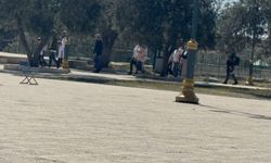 Onlarca siyonist yerleşimci Mescid-i Aksa avlularını kirletti