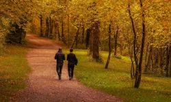 Prof. Dr. Aksoy: Hareketsizlik hastalıklara davetiye çıkarıyor