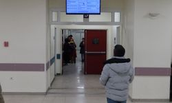 Prof. Dr. Şener: Cilt kanserinde erken tanı hayati önem taşıyor