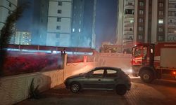 Şanlıurfa’da çalılık alanda çıkan yangın paniğe neden oldu