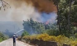 Suriye’nin kıyı kesimlerinde orman yangını: 30 hektardan fazla alan yandı