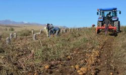 Tarım-ÜFE yıllık arttı, aylık azaldı