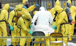 Tayland’da şarbon kaynaklı ilk ölüm 