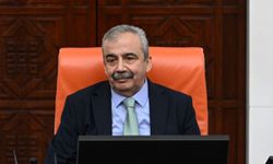 TBMM Başkanvekili Sırrı Süreyya Önder hayatını kaybetti