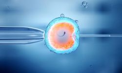 Tüp bebekte kaygıyı yönetmek anne baba olma şansını artırıyor