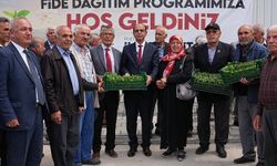 Yeşilyurt Belediyesi çiftçilere 250 bin adet sebze fidesi dağıttı