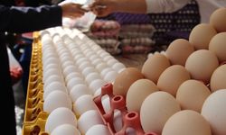 Yumurta fiyatları düştü talepler arttı