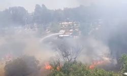 Adana'da ağaçlık alanda yangın 