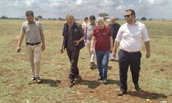 Adana'da ıslah programına alınacak meralarda etüt çalışması yapıldı