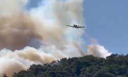 Adana'da yangın söndürme uçağı düştü: 2 pilot yaralı