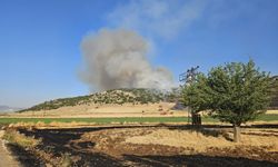 Anız yakan şahsa idari para cezası kesildi