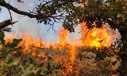 Ankara'da orman yangını