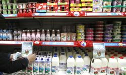 Avrupa'dan işgalcilere ticari yaptırım çağrısı