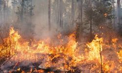 Bakan Tunç: Orman yangınlarıyla ilgili 17 kişi gözaltında