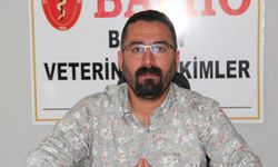 Batman Veteriner Hekimleri Odasından, yaban atlarının katledilmesine tepki