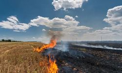Bingöl Valiliği’nden anız yakma uyarısı