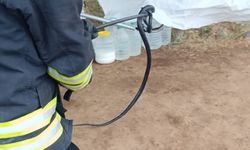 Bingöl'de karpuz bağında yılan paniği