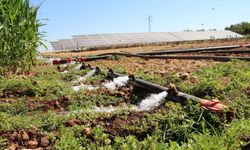 Çiftçilere 5,5 milyar liralık destek ödemesi bugün hesaplara yatırılıyor