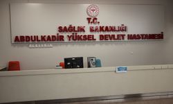 Diyetisyen Tanış: Sağlıklı ve lezzetli bir et yemek için eti dinlendirin