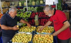 Don vurdu, fiyatlar uçtu: Malatya'nın kayısısı kırmızı etle yarışıyor