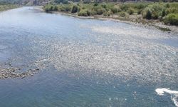 Elazığ'da nehre giren adam kayboldu