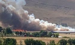 Elazığ’ın Kovancılar ilçesinde tarla yangını