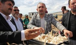 Gaziantep Milletvekili Demir sarımsak üreticisini dinledi