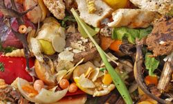 Gelir düzeyi arttıkça gıda ürünlerini çöpe atarak israf etme sıklığı arttı