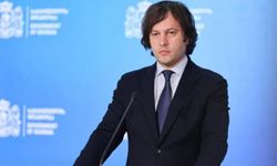 Gürcistan'dan AB'ye suçlama: Aşırıcılığı kışkırtıyorlar