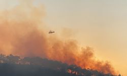 Hatay’da orman yangını