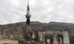 İLKHA, orman yangınlarında tamamen kullanılamaz hale gelen köyü görüntüledi