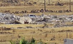 İşgalci siyonit rejim Suriye'nin Kuneytire şehrinde evleri yıkıyor