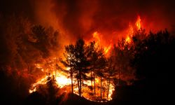 İzmir'de orman yangını hızla yayılıyor