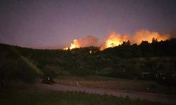 İzmir'de ormanlık alanda yangın