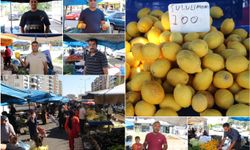 Limon fiyatları cep yakıyor! artık kilogram değil taneyle satılıyor 