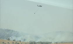 Mardin’de orman yangını: Helikopterlerle müdahale ediliyor 