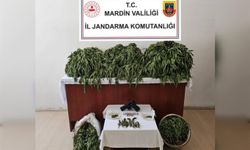 Mardin'de uyuşturucu operasyonu: 4 gözaltı