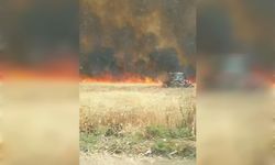 Mardin’de yaklaşık bin dönüm ekili buğday yandı