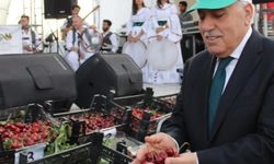 Mardin'deki Kiraz Festivali'ne STK'lardan "israf ve duyarsızlık" tepkisi