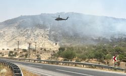 Mardin’deki orman yangını kontrol altına alındı