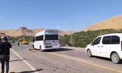 Minibüs koyun sürüsüne çarptı: 13 küçükbaş hayvan telef oldu